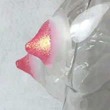 Load image into Gallery viewer, Glitter Nipz